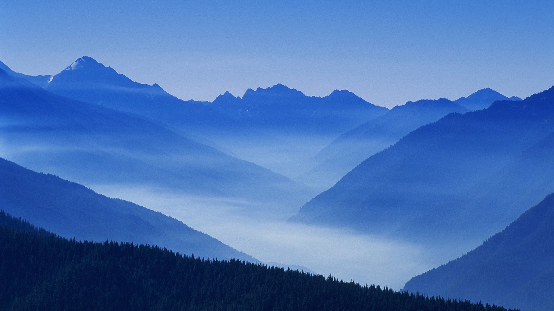 Nature Mountain Forest Landscape Fog UltraHD 4k Wallpaper