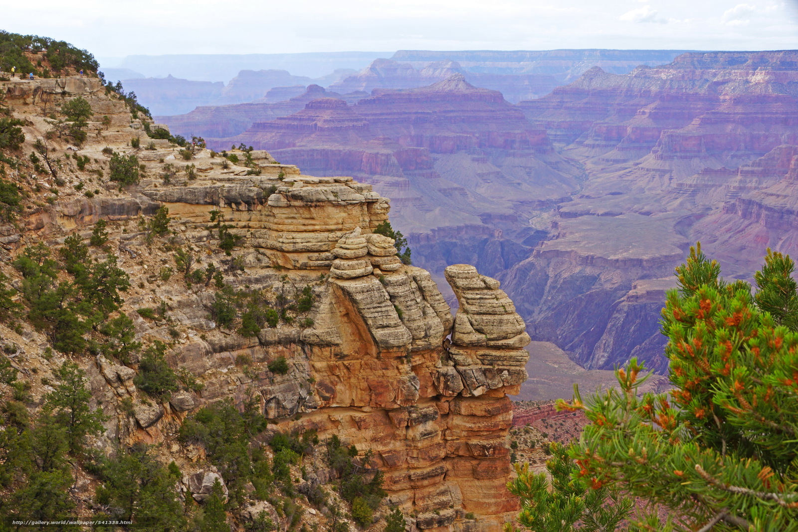 Wallpaper Park Usa Grand Canyon Desktop