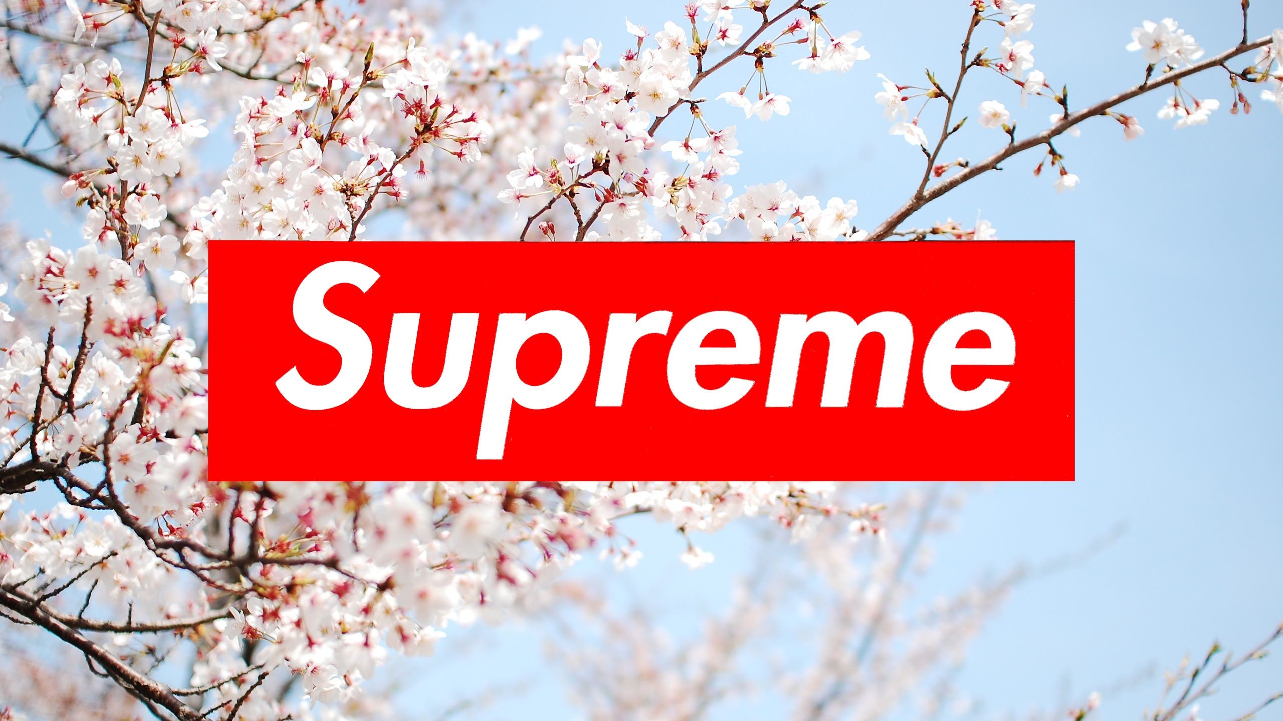 free for apple download Photo Supreme 2023.2.0.5038