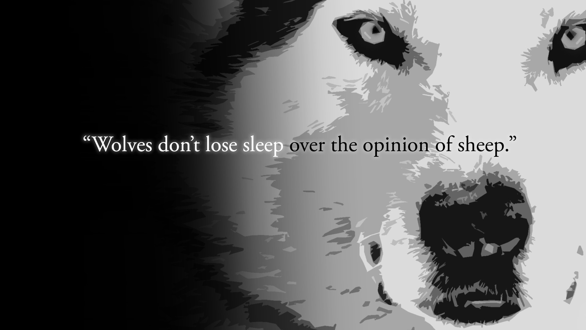 Wolves Don T Lose Sleep Over The Opinion Of Sheep Widescreen