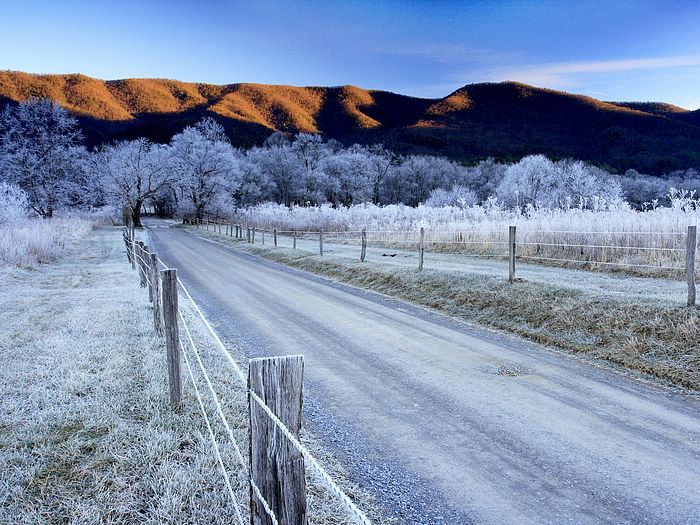 Winter Morning Sparks Lane Cades Cove Great Smoky Mountains National