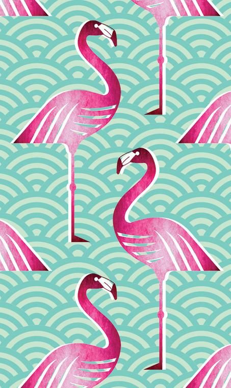 Flamingo Dieren Rose Vogel Behang Wallpaper At