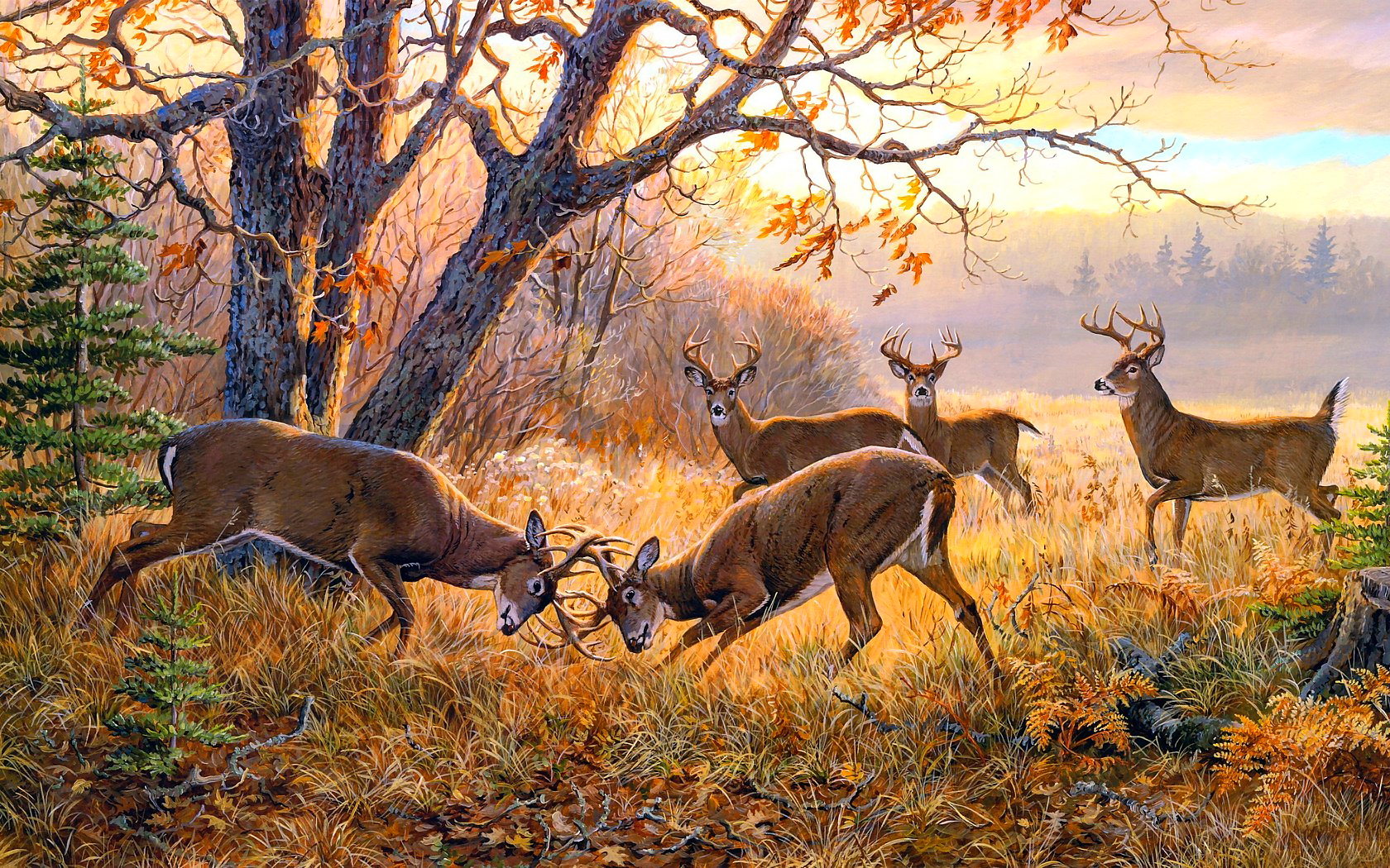 Deer Scene Wallpaper - WallpaperSafari