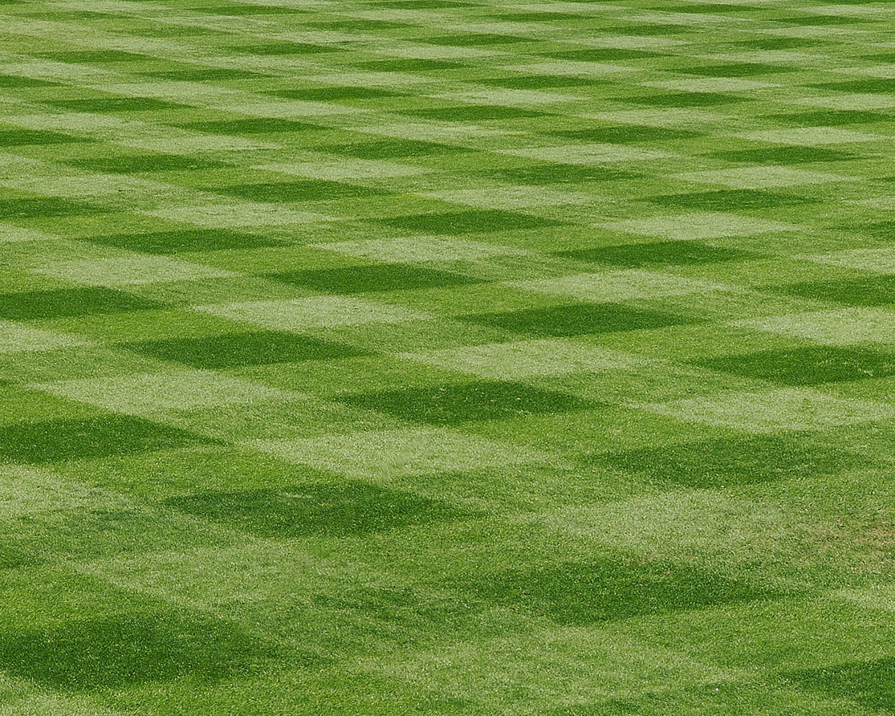 Wallpaper Baseball Field Grass