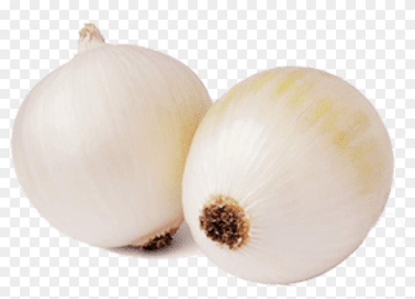 Png Elephant Garlic Image Background
