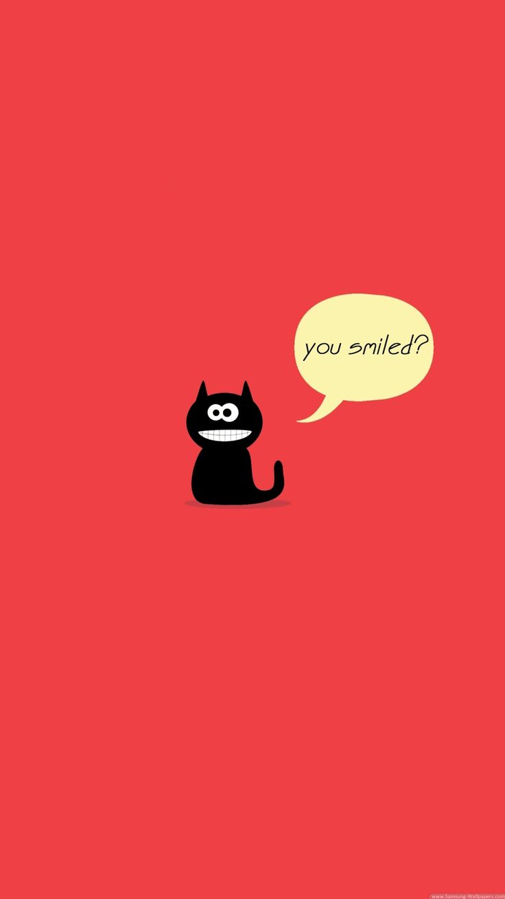 App Fun You Smiled Red Cute Black Cat Kitten Kitty Smile Funny