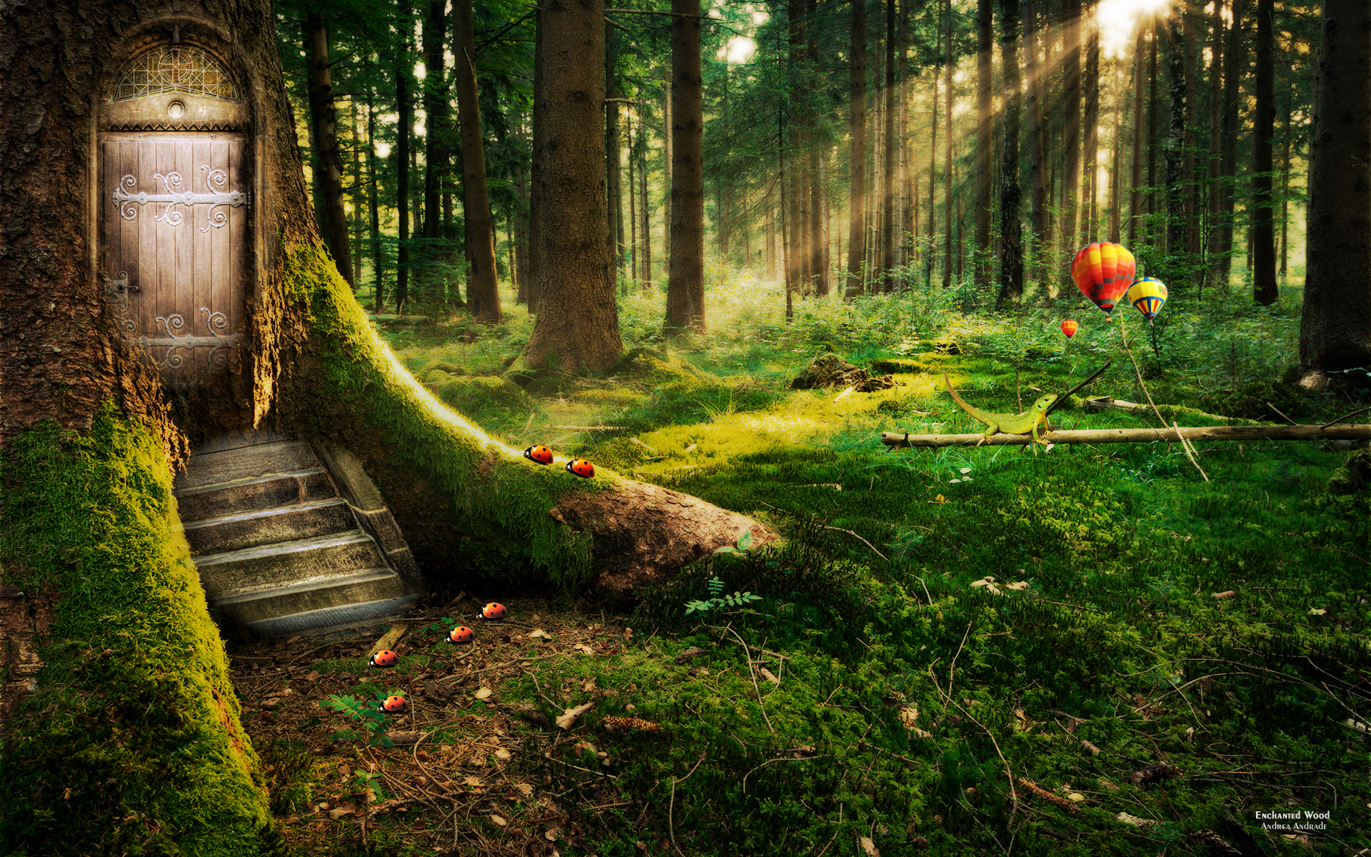 Enchanted Forest Wallpaper HD