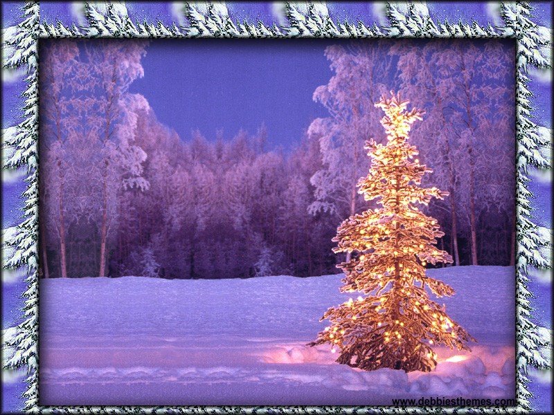 Golden Tree Wallpaper Christmas Photography Desktop