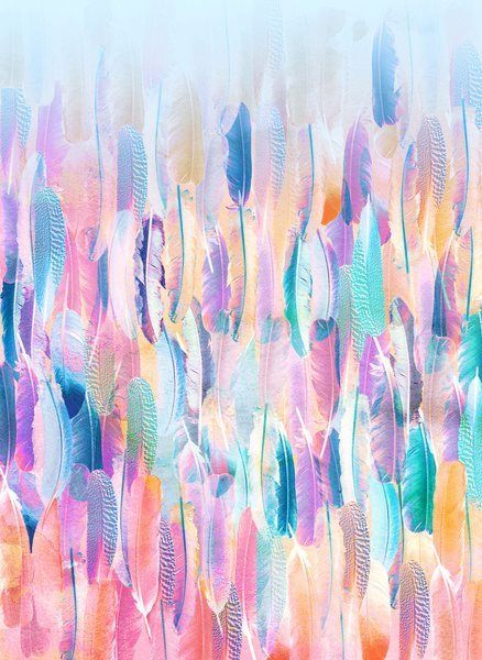 Colorful Feather Background Feathers