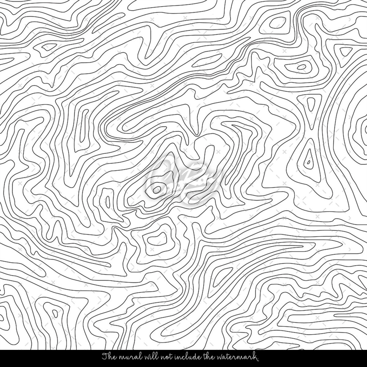 Topographic Map Pattern Line Minimalistic White Art Removable