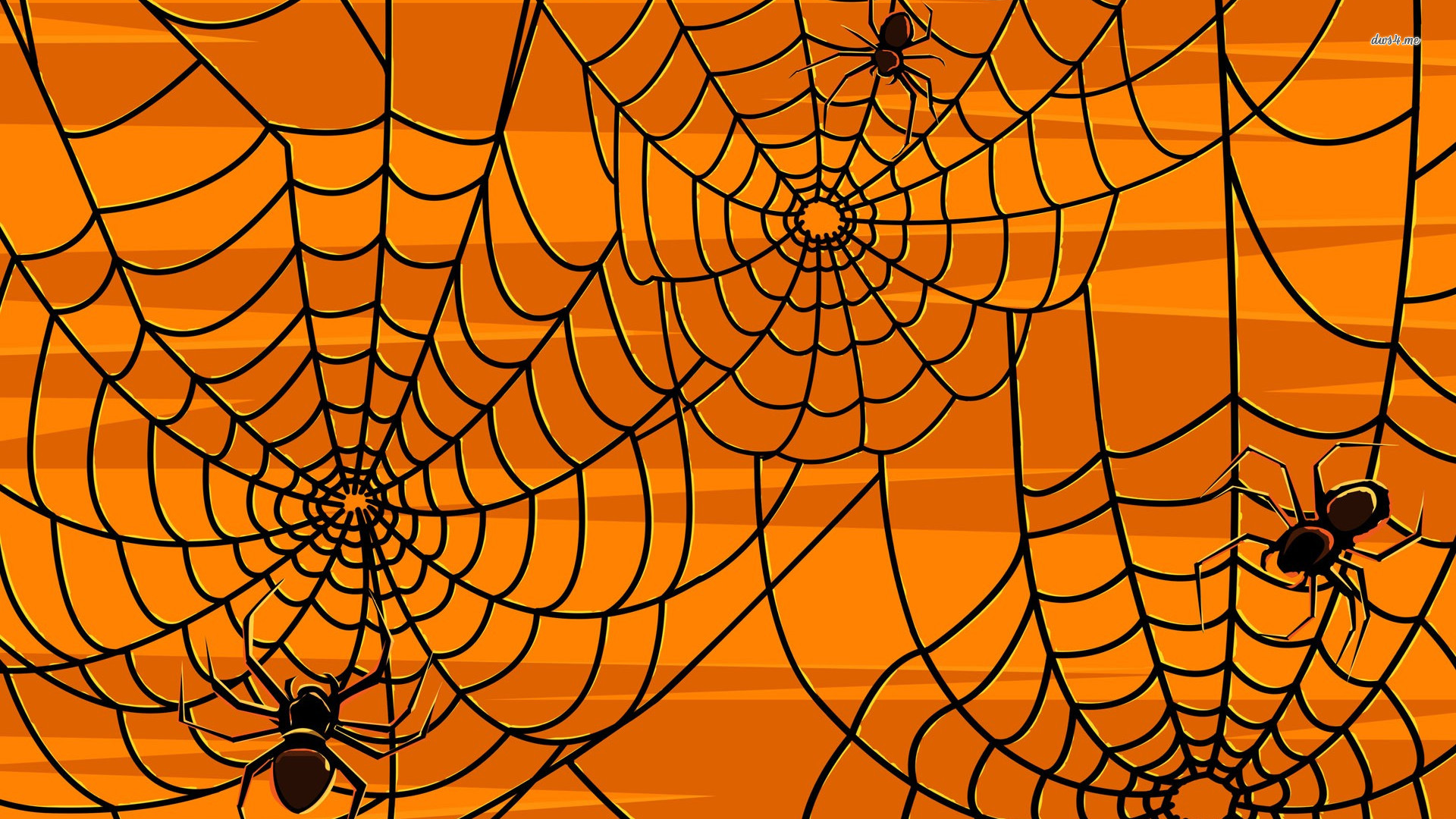 Spiders Webs wallpapers HD free   366645