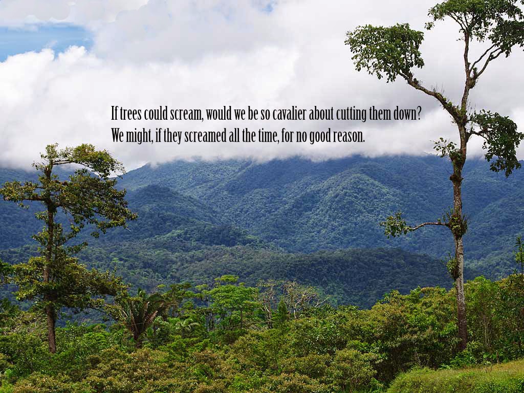 Nature Background With Quotes