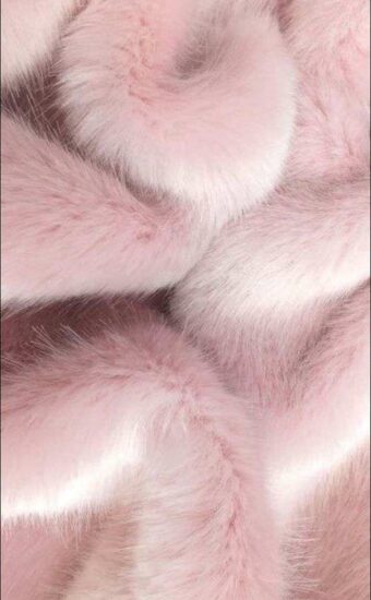 Fur Wallpaper HD