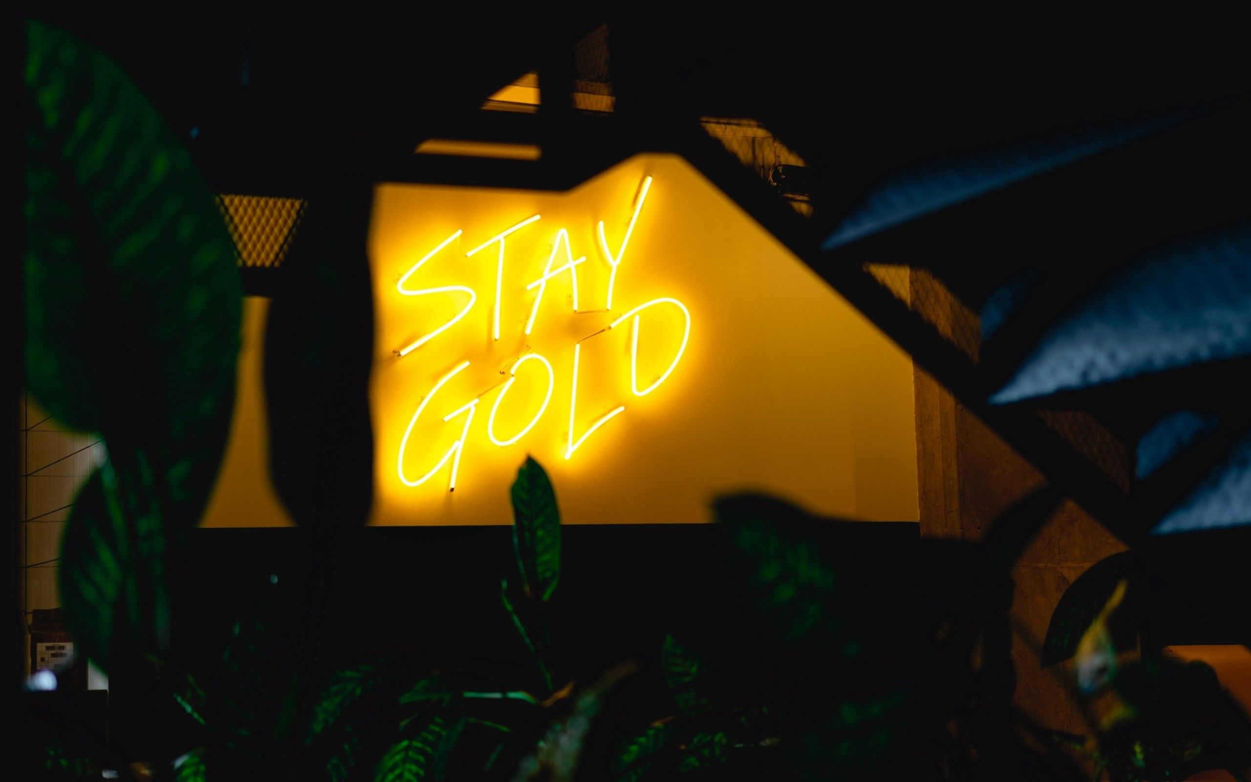 Neon sign with the words 