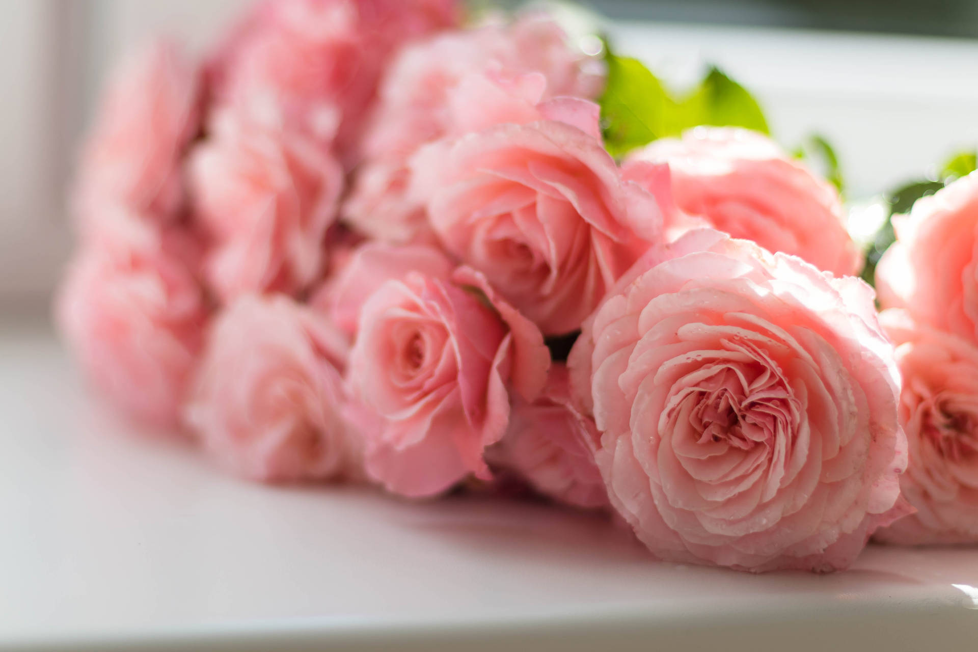 Pink Flowers Aesthetic Wallpaper