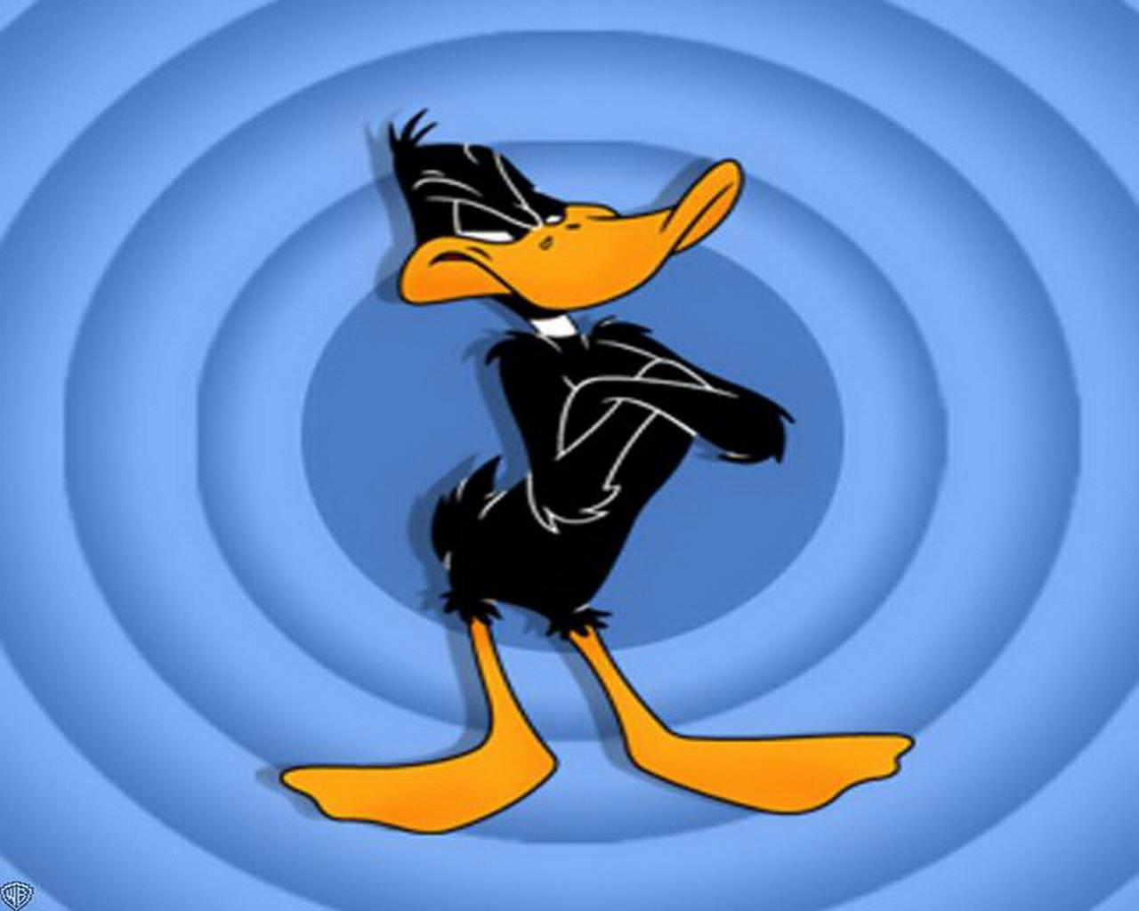 Daffy Duck HD Wallpaper