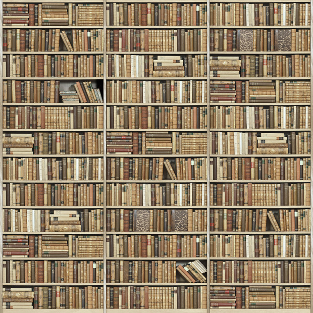 Bookshelf Wooden Beige Wall Mural Photo Wallpaper Photowall