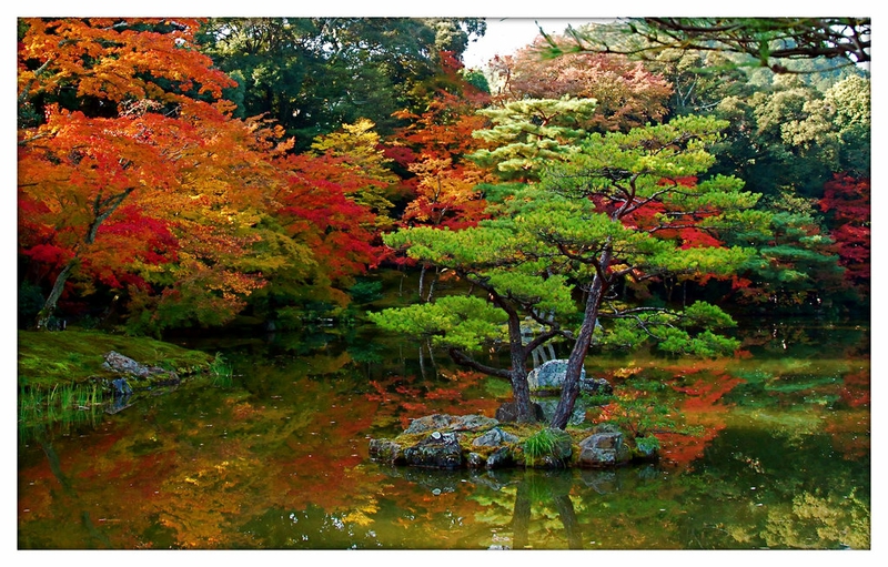 Clouds Colors Japan Garden Nature Forests HD Desktop Wallpaper