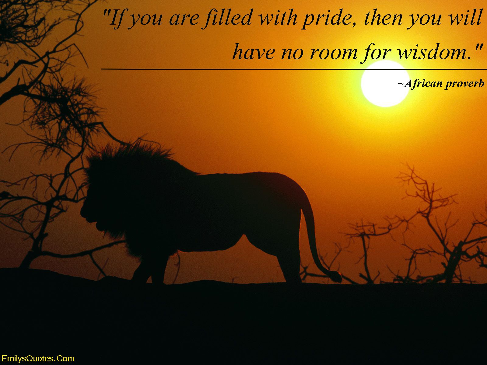 Emilysquotes Pride Wisdom Intelligence African Proverb