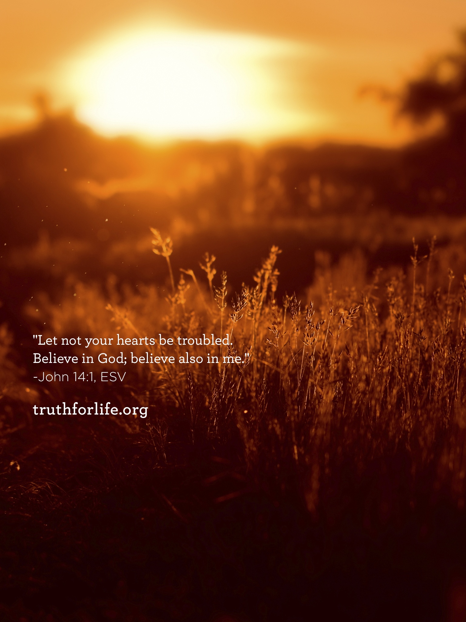 Best Belief In God Wallpaper