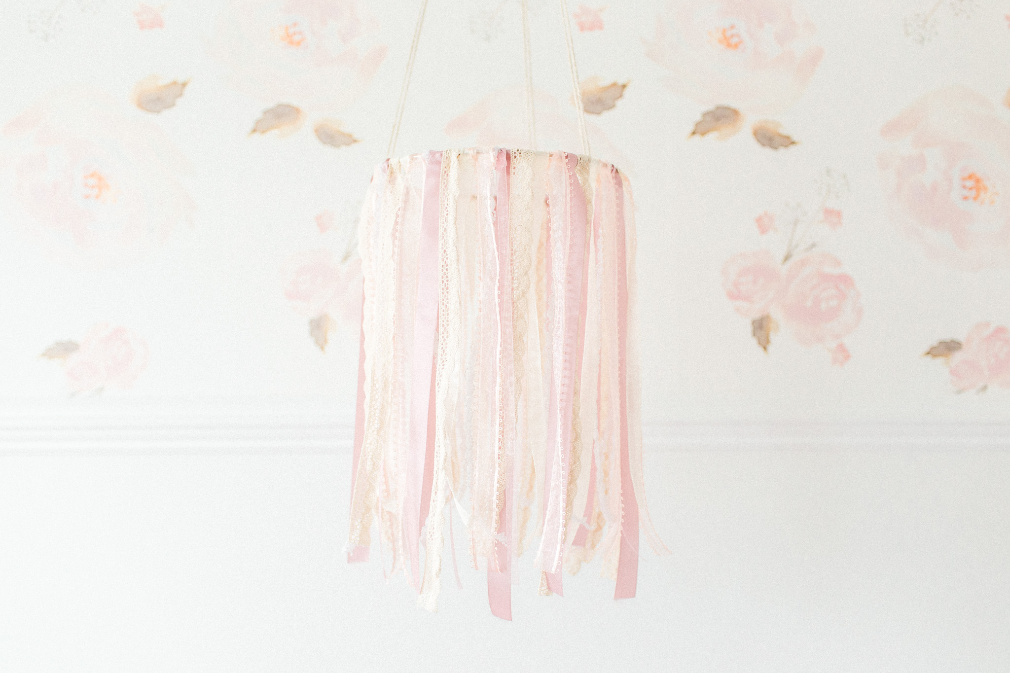 Free download Nursery Reveal Akron Canton Ohio Photographer Erin