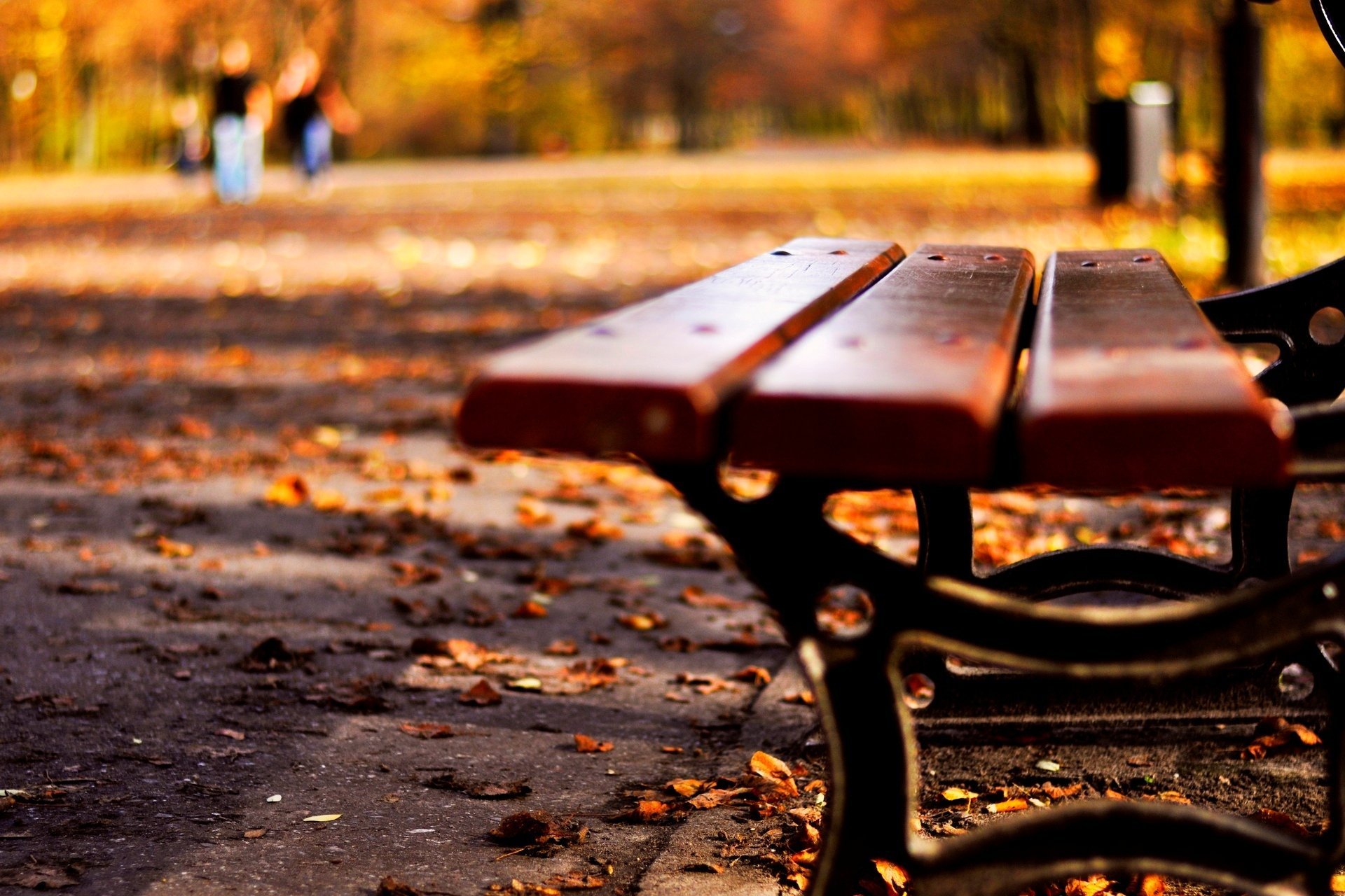 Close Up Mood Bench Shop Leaves Leaf Autumn Yellow Nature