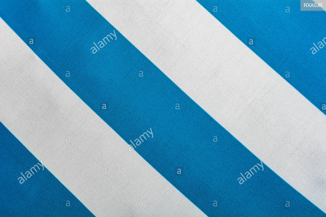 Blue And White Background Diagonal Stripes Pattern Top