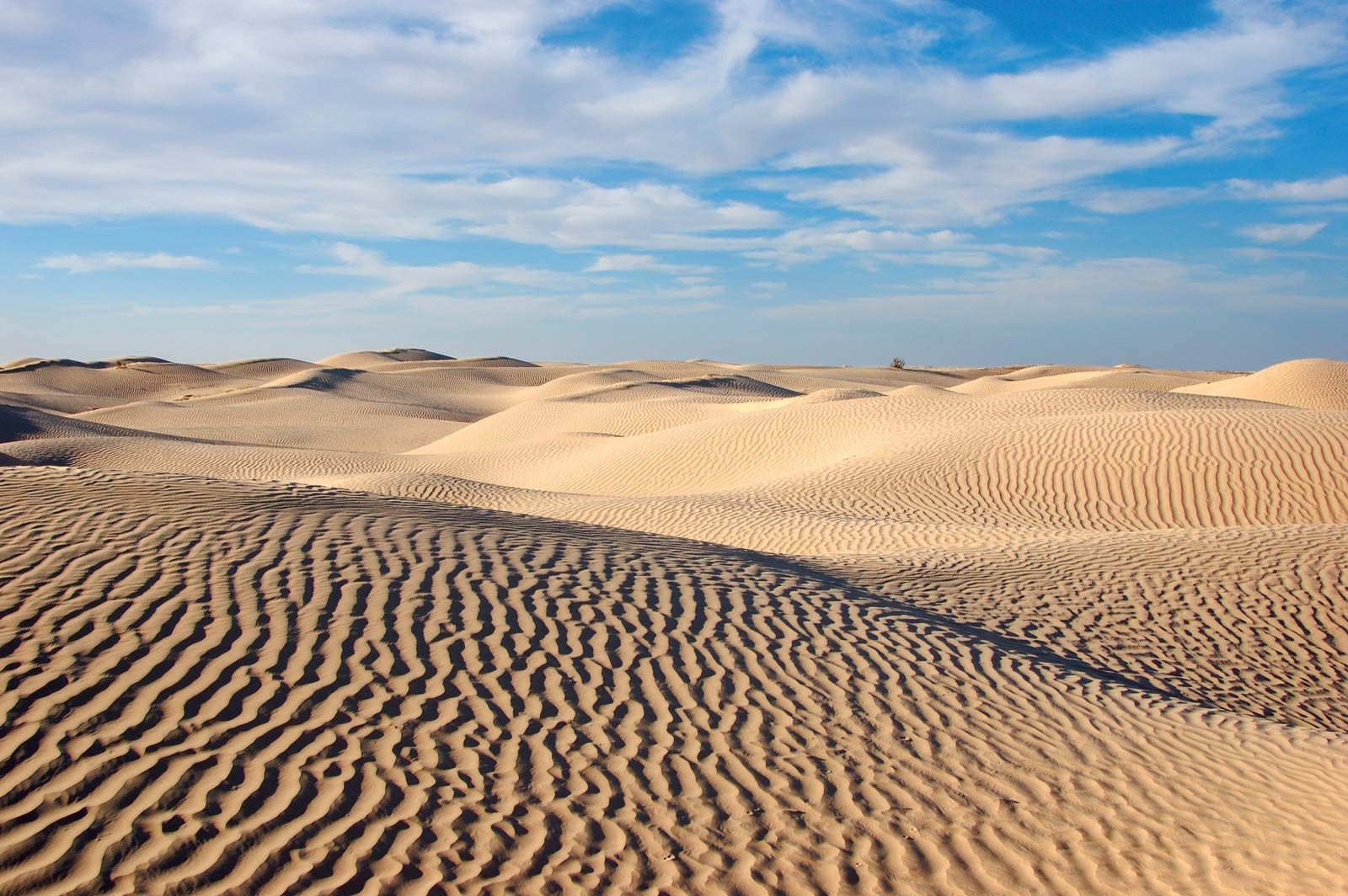 Sahara Morocco Wallpaper