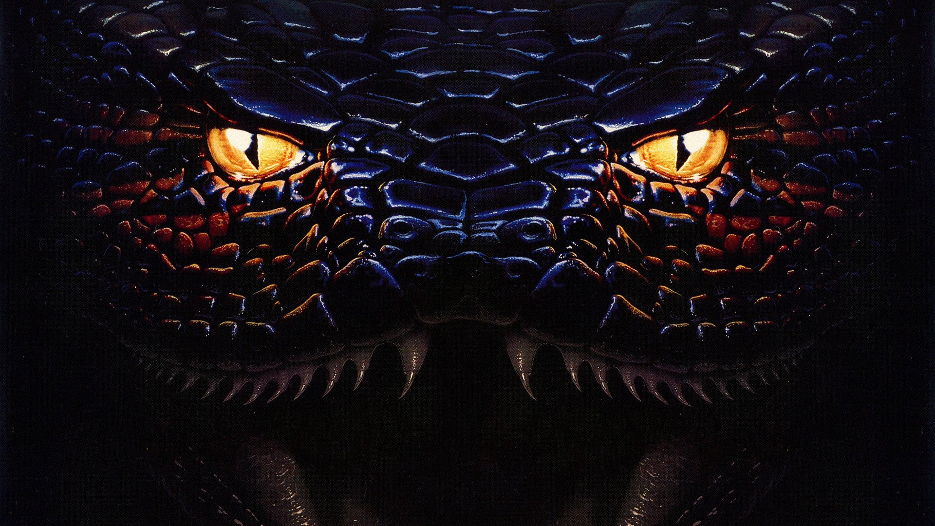 Anaconda Wallpaper
