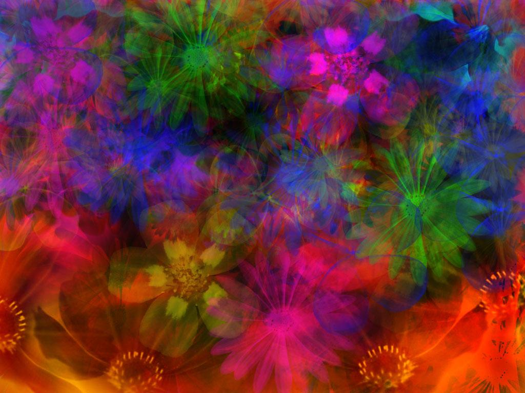 Rainbow Flowers Background Themes