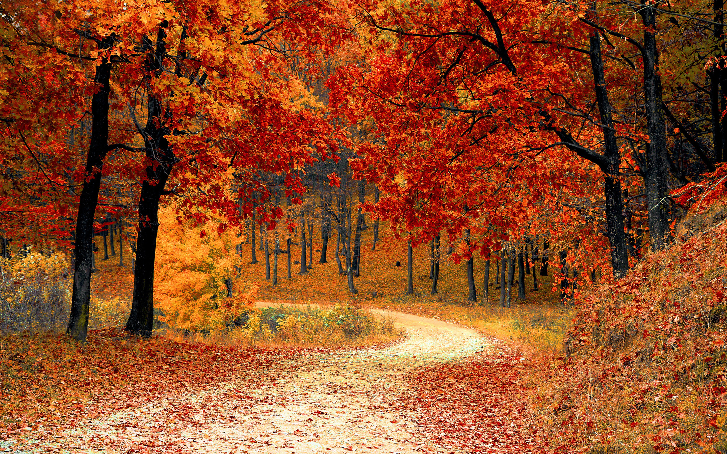 Beautiful Fall Landscape Wallpaper HD