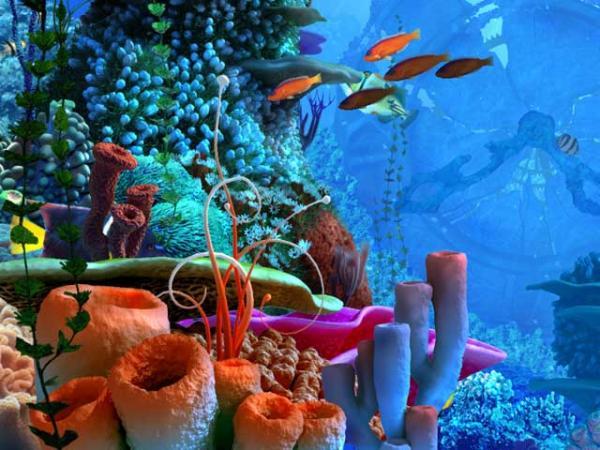 🔥 [49+] Coral Reef Screensavers & Wallpaper | WallpaperSafari