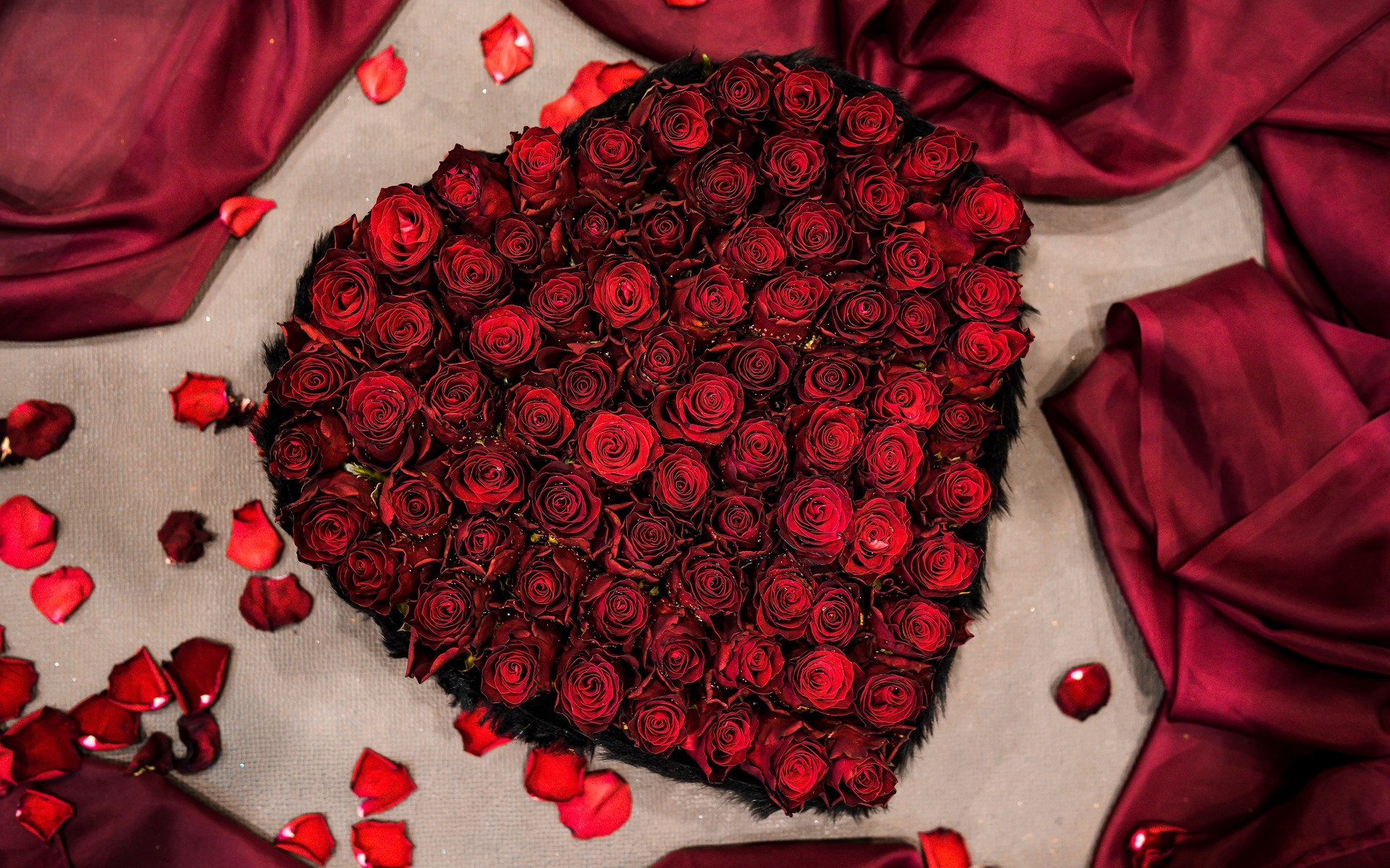 Love Rose HD Wallpaper On