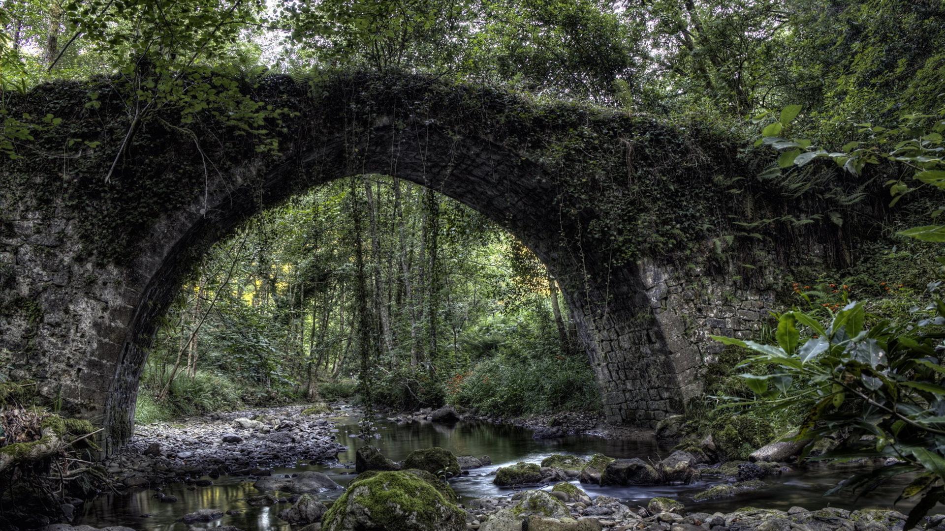 Ivy Covered Old Arched Stone Bridge High Quality And
