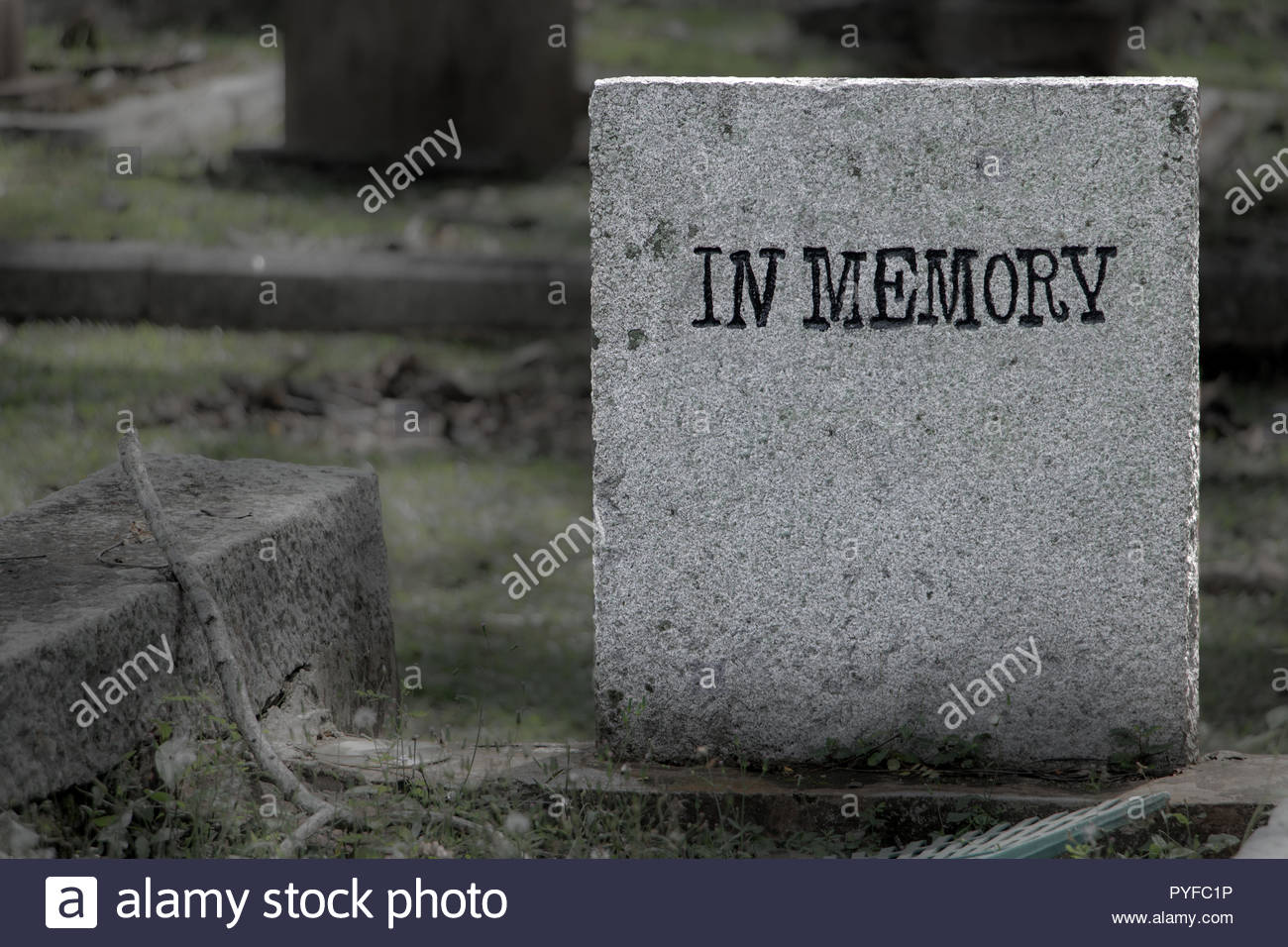 The Obsolete Tombstone With Text In Memory On Background Blurred