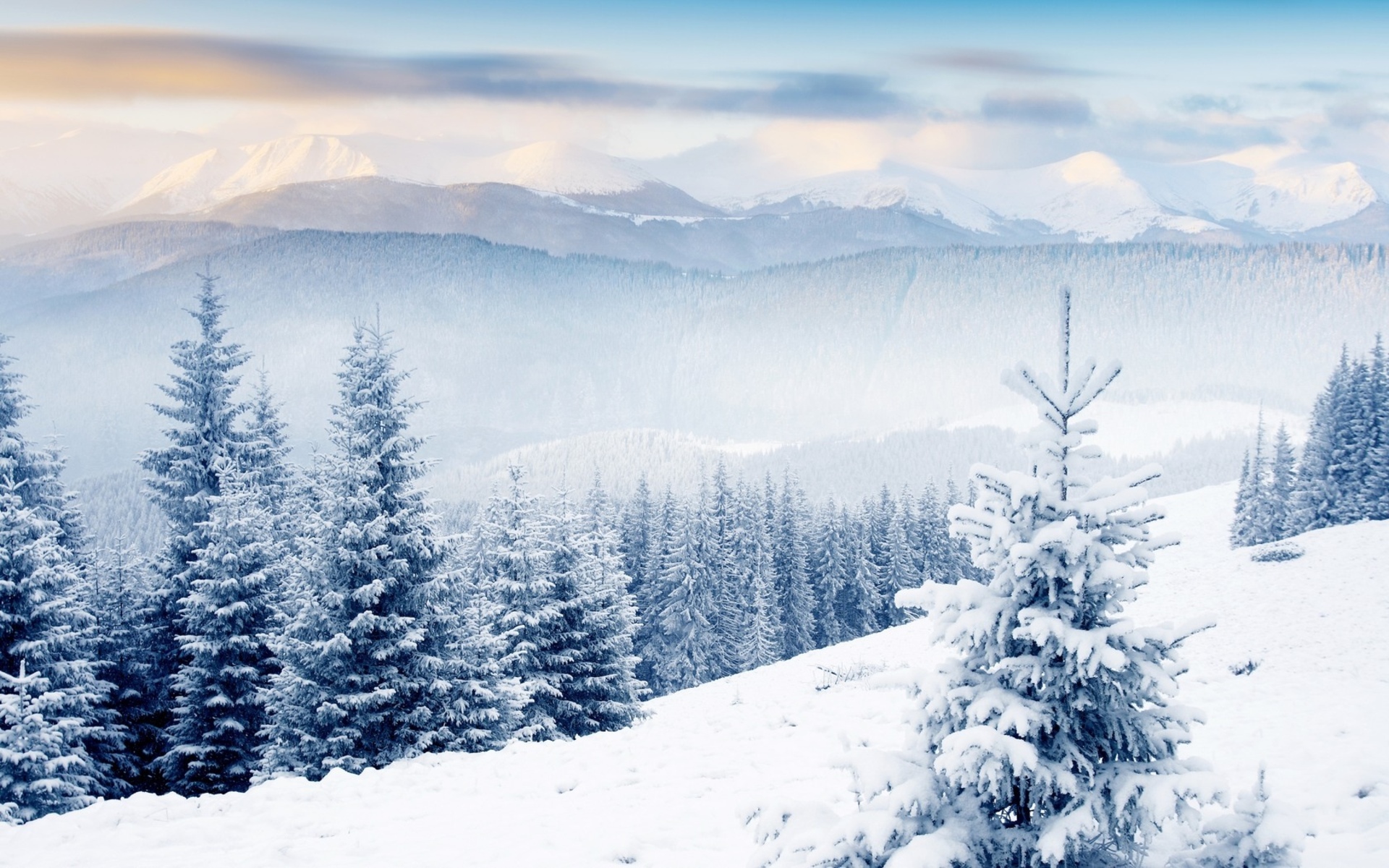 Winter Scenes Desktop Wallpaper