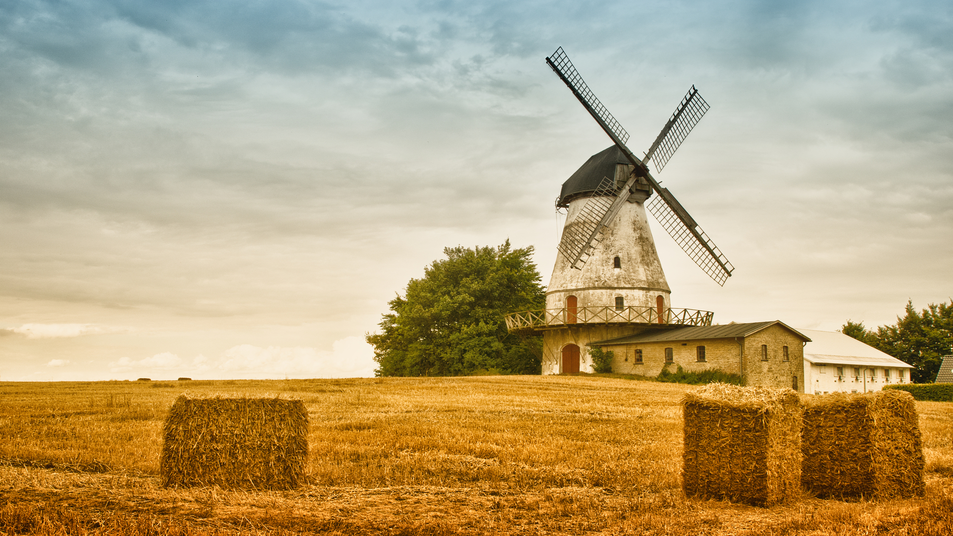 Dutch Windmill Wallpaper Pinit Gallery