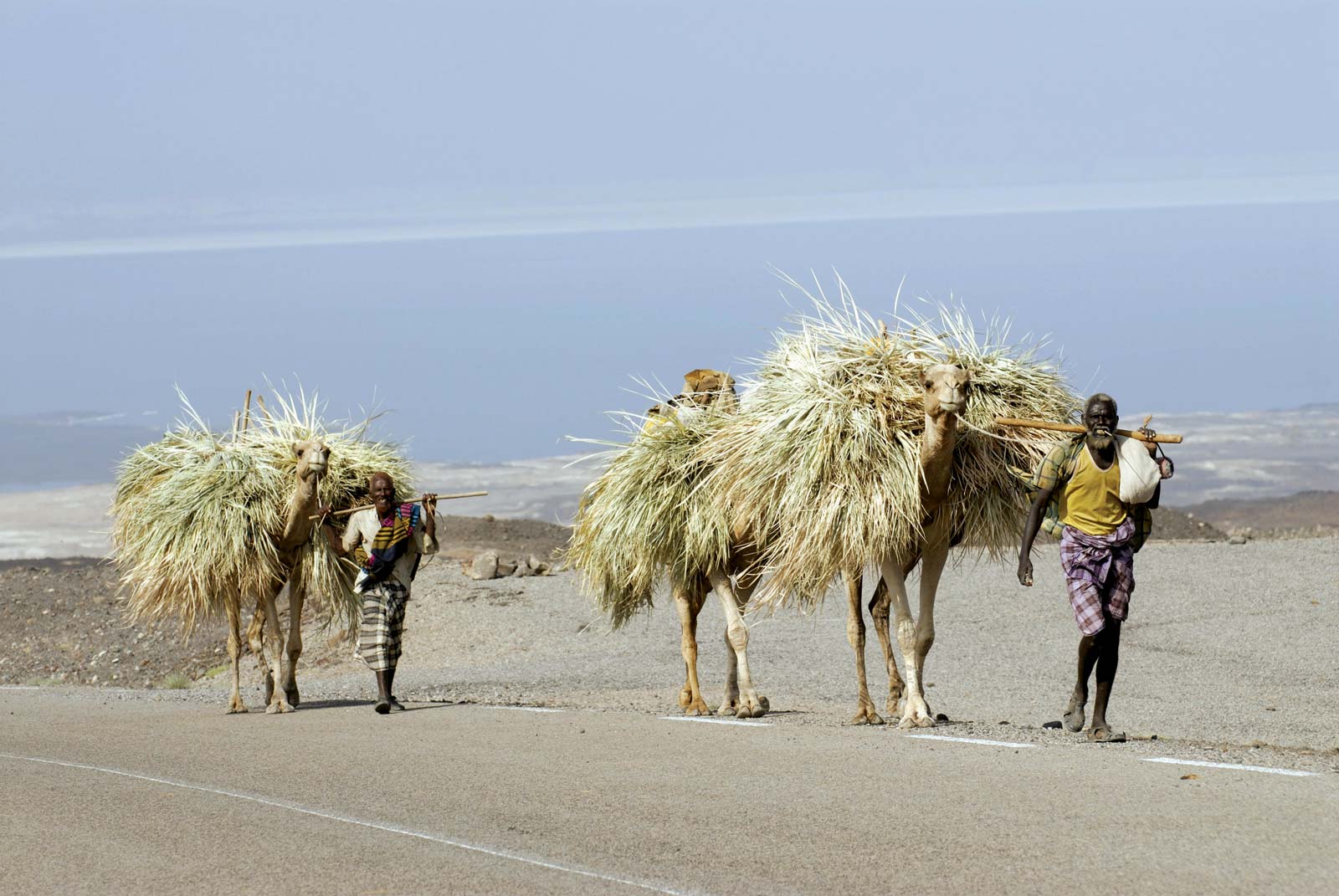 Free download Djibouti Culture History People Britannica [1600x1071 ...