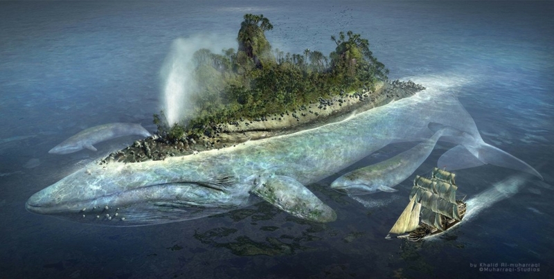 Category Nature HD Wallpaper Subcategory Oceans