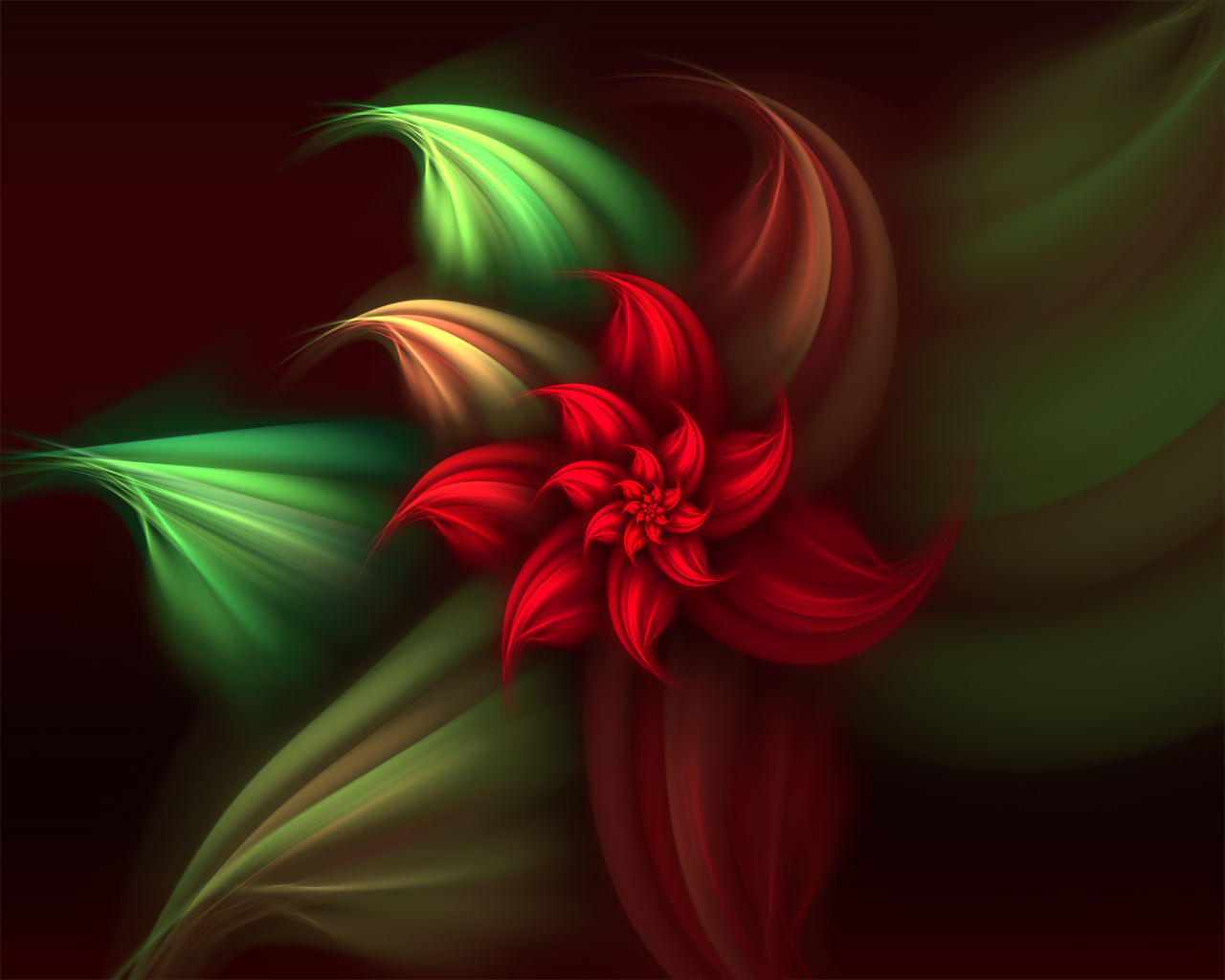 Christmas Poinsettia By Frankief