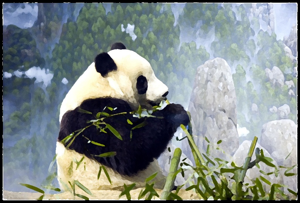 Animations Wallpaper Panda