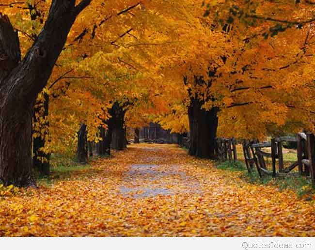 Happy First Day Of Autumn Quotes Image And Wallpaper