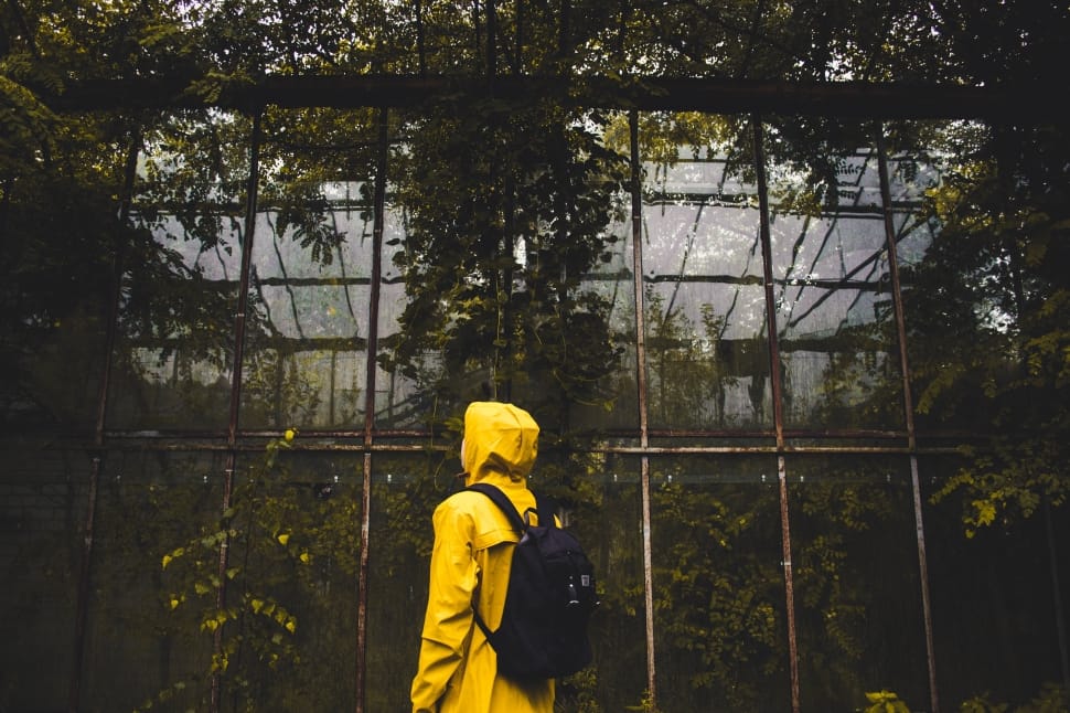 Shallow Focus Photography Of Person Wearing Yellow Raincoat And