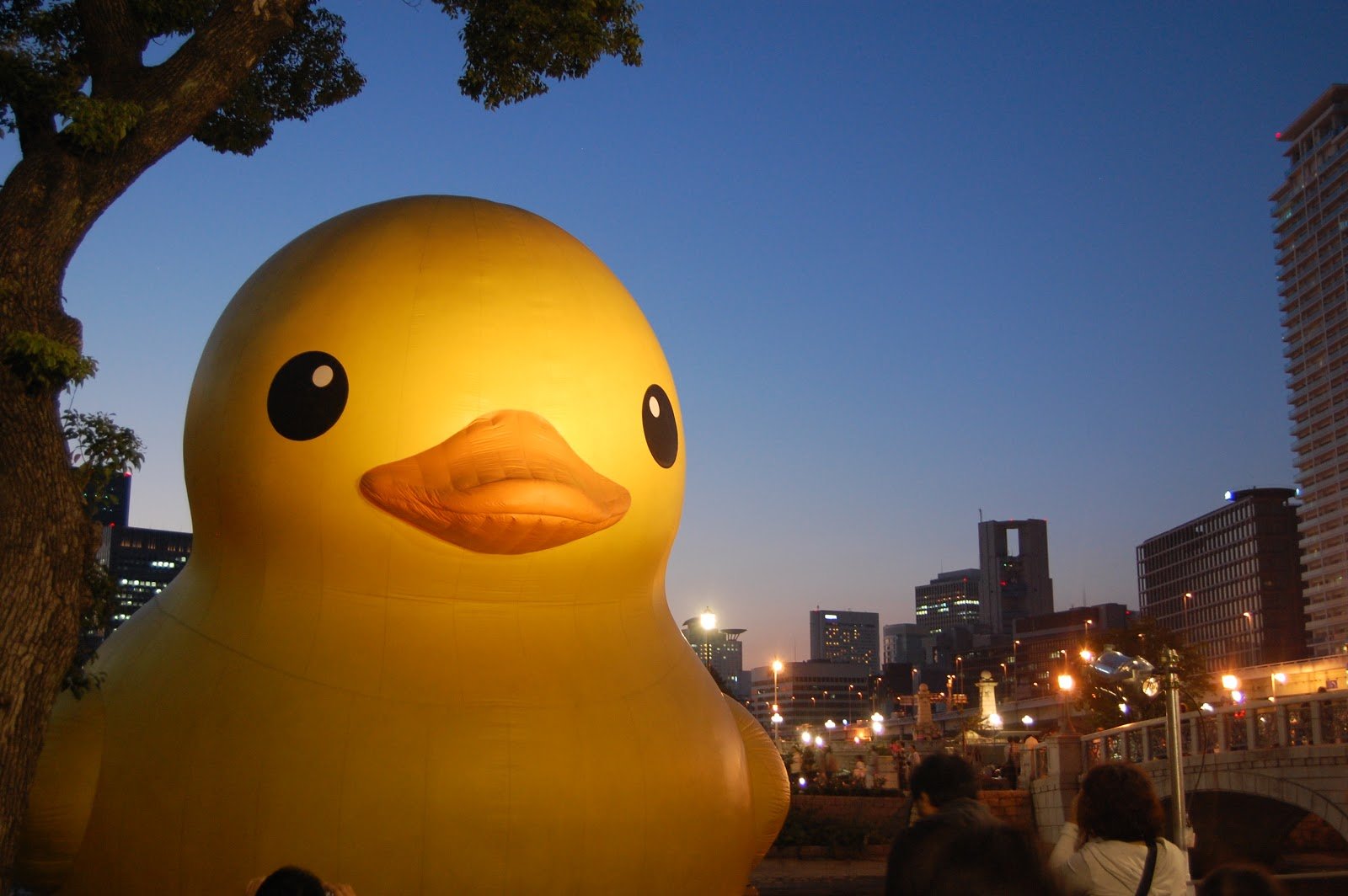 Giant Rubber Duck Wallpaper and saw a giant rubber duck