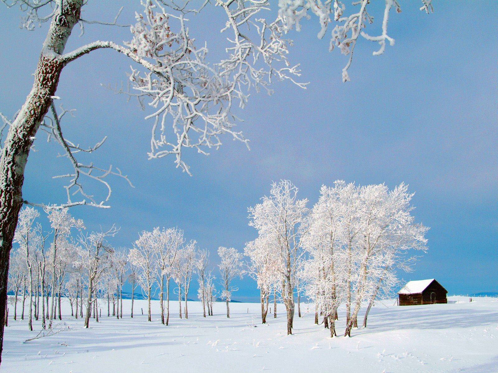Winter Extra Woodsy Cabin Wallpaper For Desktop Background HD