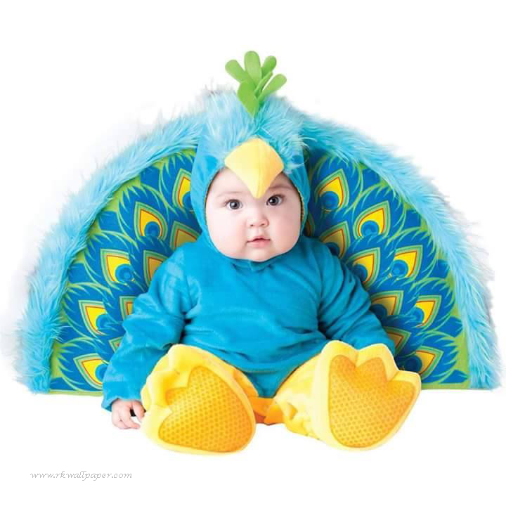 Cute Baby Animal Costumes Wallpaper HD