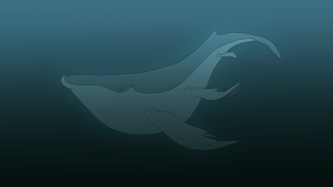 Whale Swim Animation By Swankyshadow
