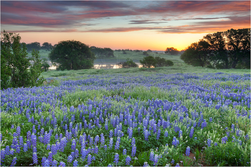 Texas Hill Country Wallpaper Memes