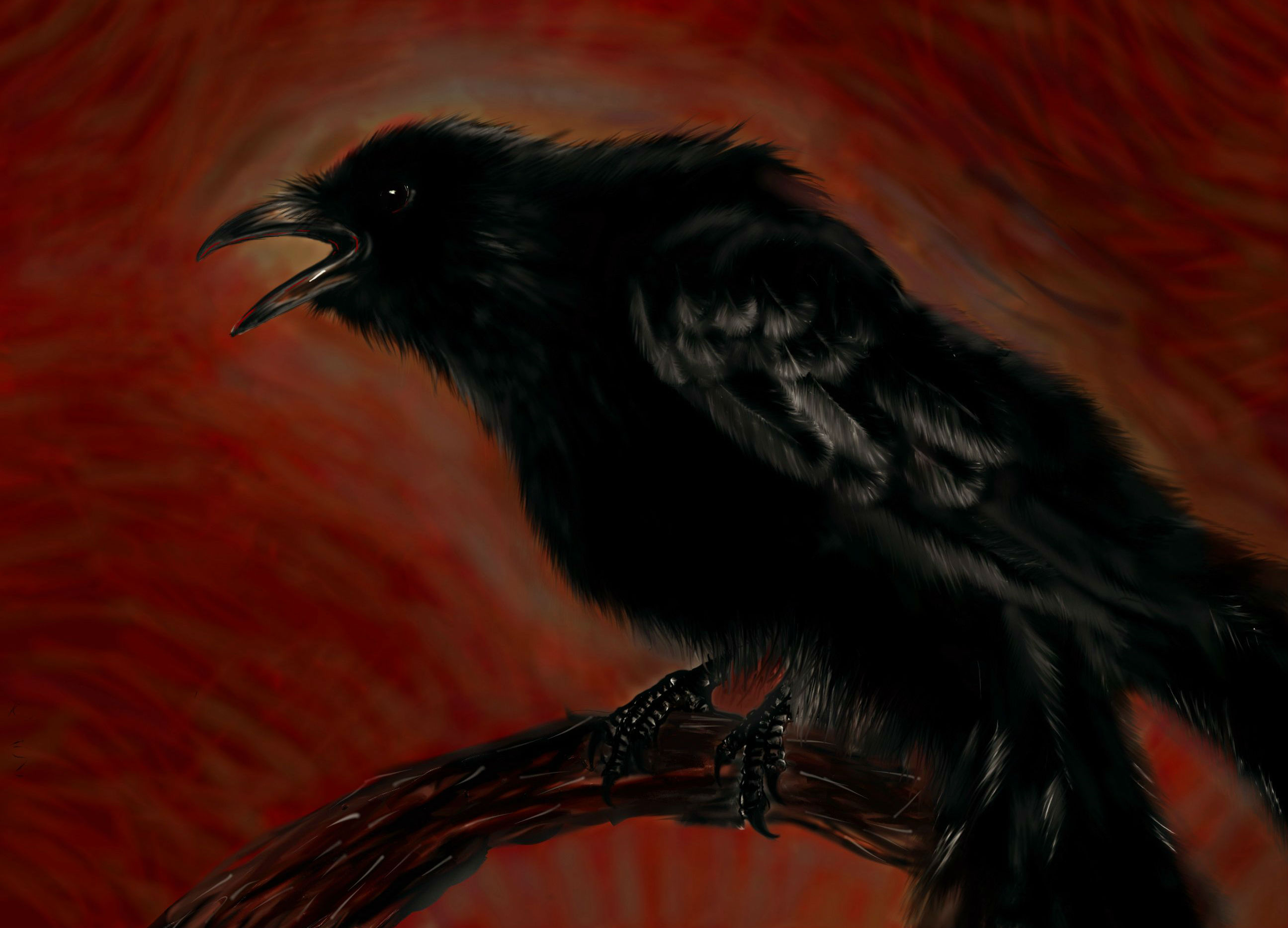 The Crow Puter Wallpaper Desktop Background
