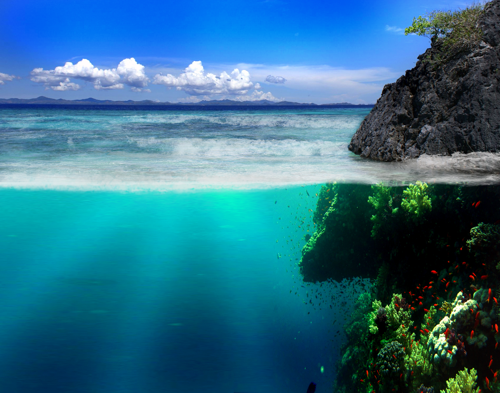 Hình nền dưới đại dương là một lựa chọn hoàn hảo cho những ai yêu biển và muốn tạo sự mới mẻ cho desktop của mình. Với những hình ảnh sinh động về đại dương, bạn có thể thay đổi không gian của mình mà không cần phải đến biển.